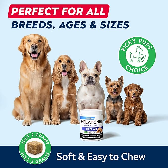 Melatonin Sleep Chews