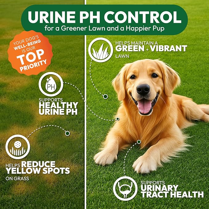 Green Lawn Chews