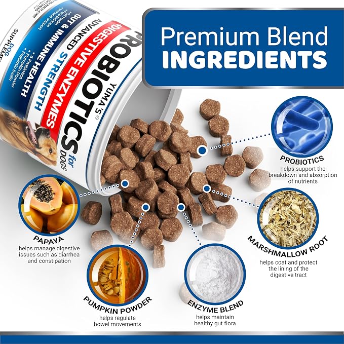 Probiotics + Enzymes